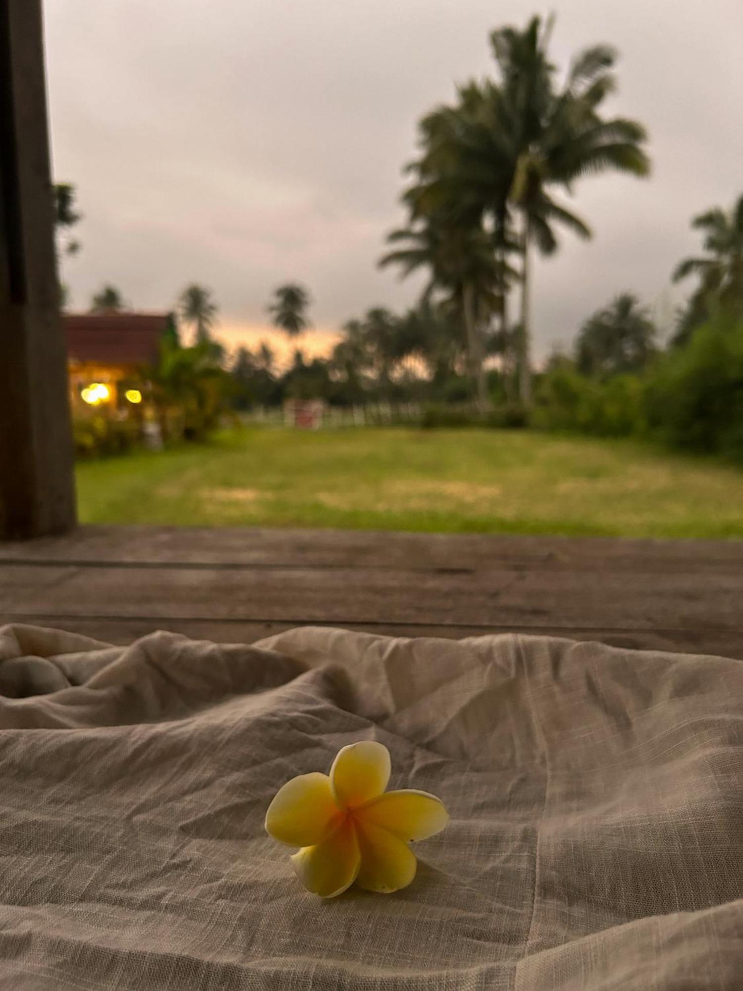 Linkgreen Homestay Lombok Tetebatu Kültér fotó