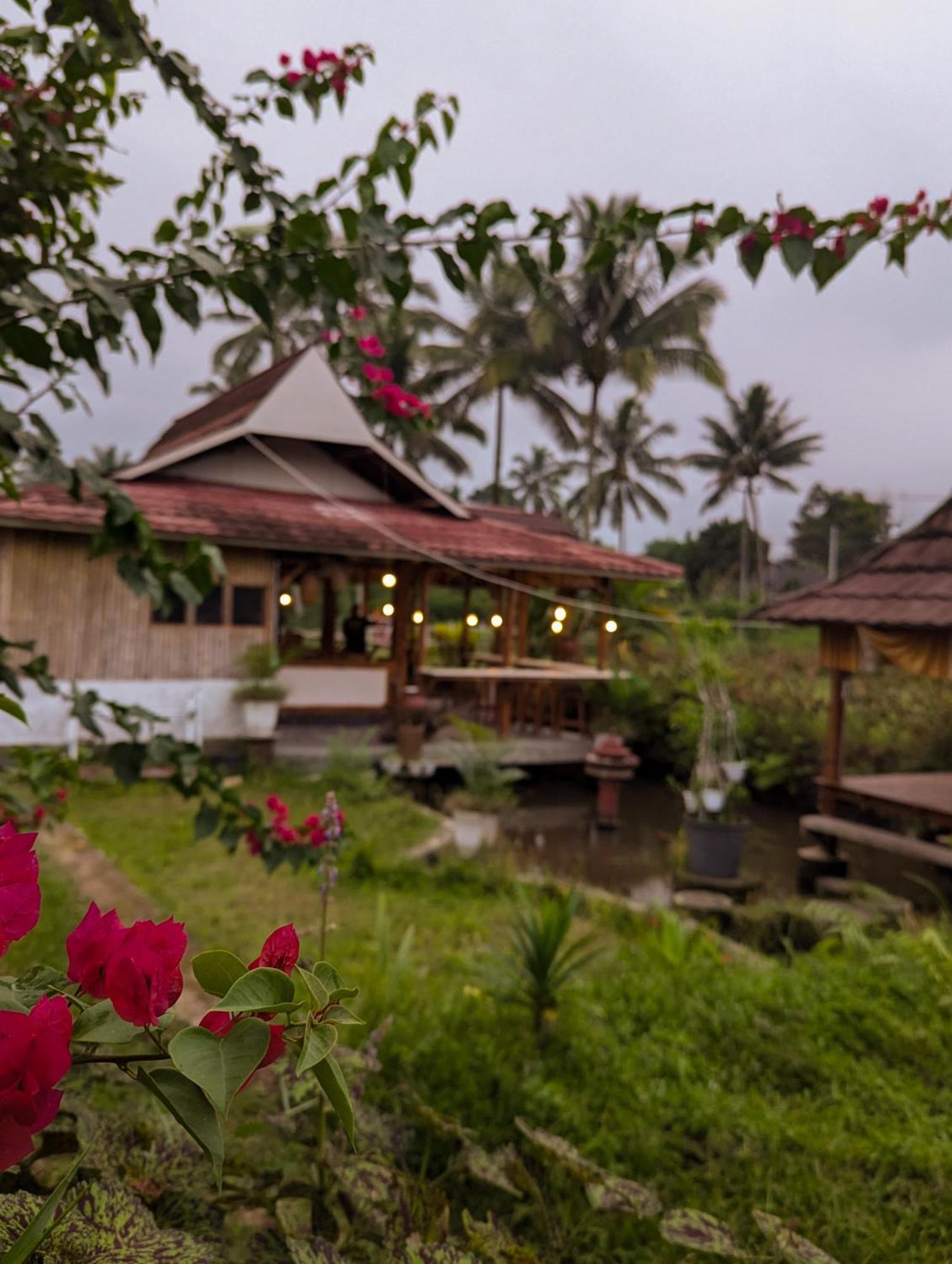 Linkgreen Homestay Lombok Tetebatu Kültér fotó
