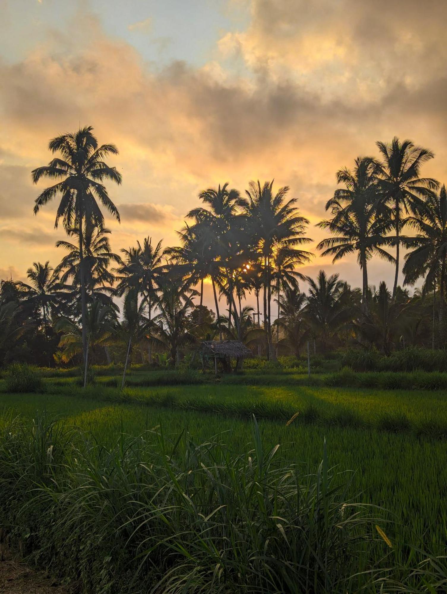 Linkgreen Homestay Lombok Tetebatu Kültér fotó