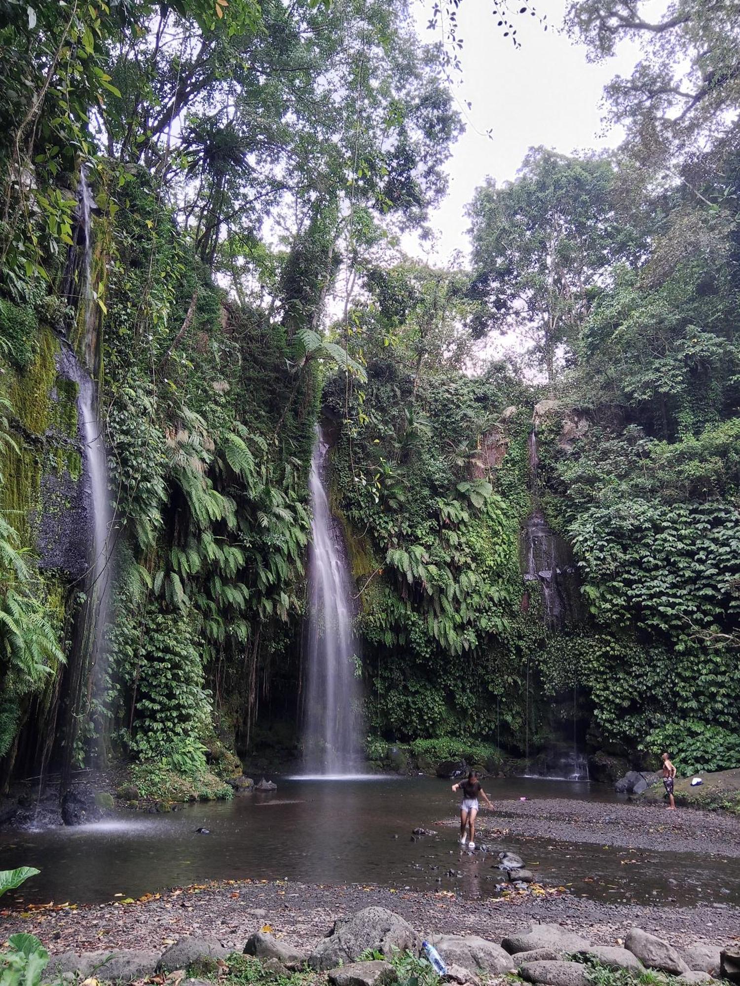 Linkgreen Homestay Lombok Tetebatu Szoba fotó